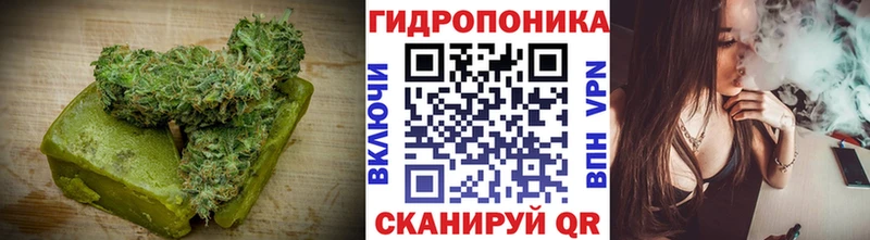 блэк спрут как зайти  Нижняя Тура  Cannafood конопля 