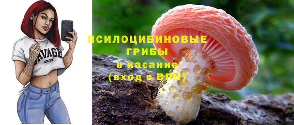 а пвп мука Лабытнанги
