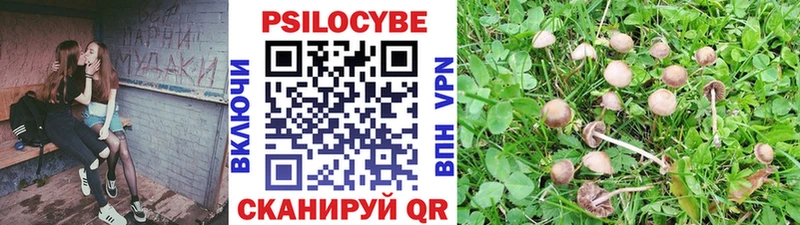 Псилоцибиновые грибы мухоморы  наркота  Нижняя Тура 
